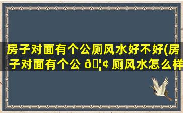 房子对面有个公厕风水好不好(房子对面有个公 🦢 厕风水怎么样)